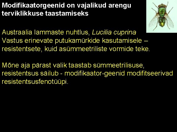 Modifikaatorgeenid on vajalikud arengu terviklikkuse taastamiseks Austraalia lammaste nuhtlus, Lucilia cuprina Vastus erinevate putukamürkide