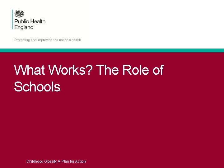 What Works? The Role of Schools Childhood Obesity A Plan for Action 