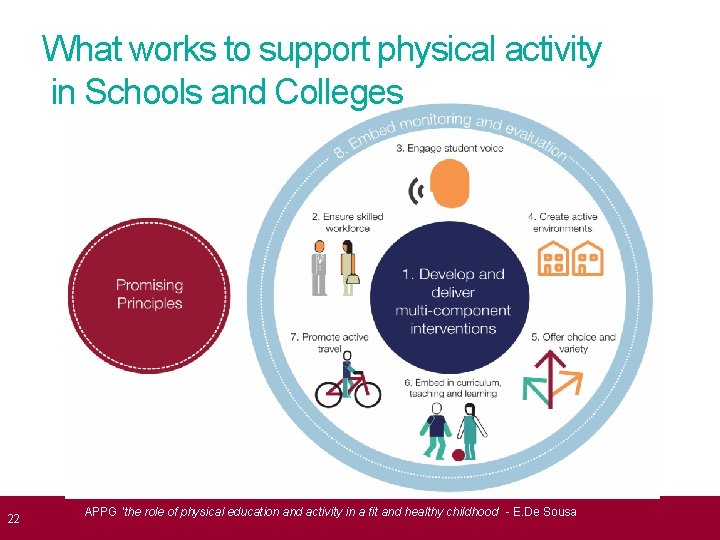 What works to support physical activity in Schools and Colleges 22 APPG 'the role