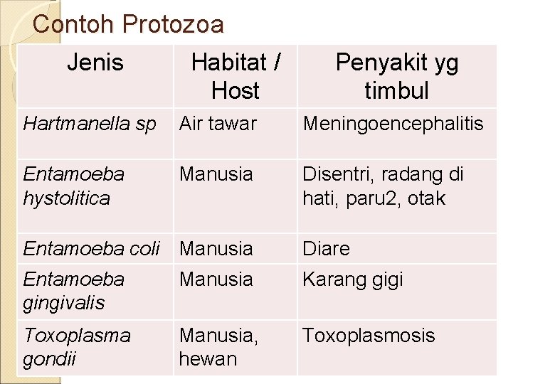 Contoh Protozoa Jenis Habitat / Host Penyakit yg timbul Hartmanella sp Air tawar Meningoencephalitis