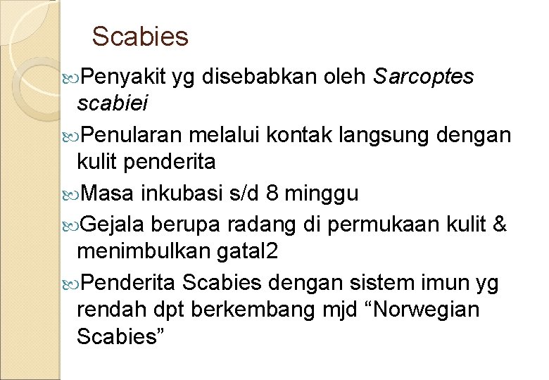 Scabies Penyakit yg disebabkan oleh Sarcoptes scabiei Penularan melalui kontak langsung dengan kulit penderita