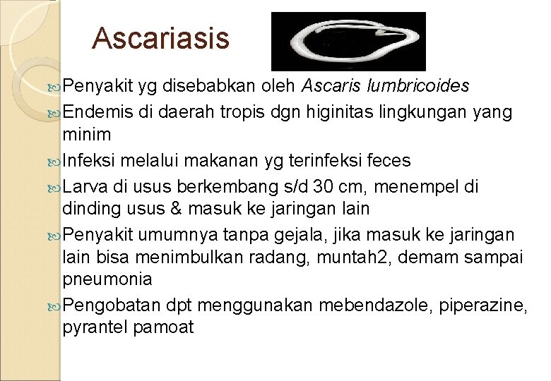 Ascariasis Penyakit yg disebabkan oleh Ascaris lumbricoides Endemis di daerah tropis dgn higinitas lingkungan