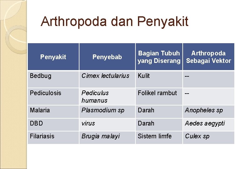 Arthropoda dan Penyakit Penyebab Bagian Tubuh Arthropoda yang Diserang Sebagai Vektor Bedbug Cimex lectularius