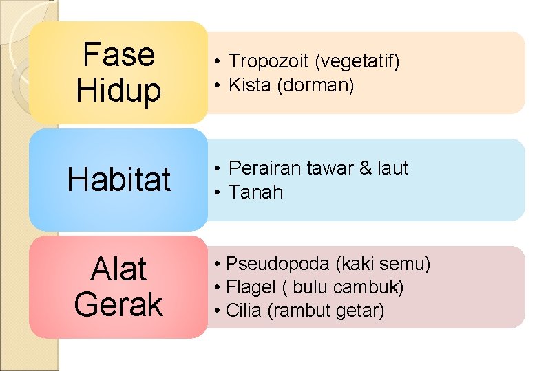 Fase Hidup • Tropozoit (vegetatif) • Kista (dorman) Habitat • Perairan tawar & laut