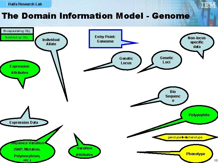 Haifa Research Lab The Domain Information Model - Genome Encapsulating Obj. Bubbled-up Obj. Entry Haifa Research Lab The Domain Information Model - Genome Encapsulating Obj. Bubbled-up Obj. Entry