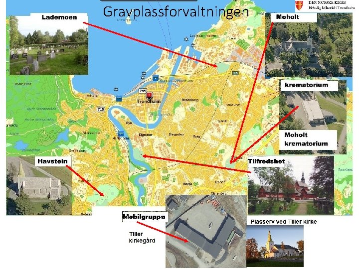 Gravplassforvaltningen 