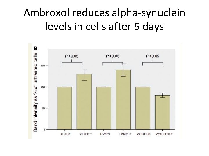 Ambroxol reduces alpha-synuclein levels in cells after 5 days 