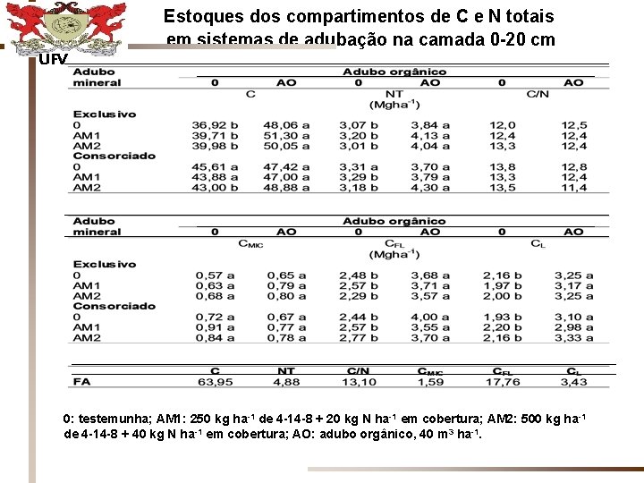 Estoques dos compartimentos de C e N totais em sistemas de adubação na camada