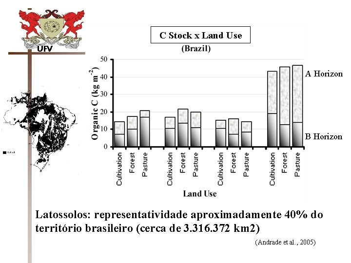 C Stock x Land Use UFV A Horizon B Horizon Latossolos: representatividade aproximadamente 40%