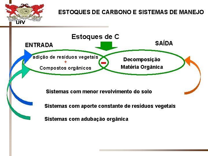 ESTOQUES DE CARBONO E SISTEMAS DE MANEJO UFV Estoques de C SAÍDA ENTRADA adição