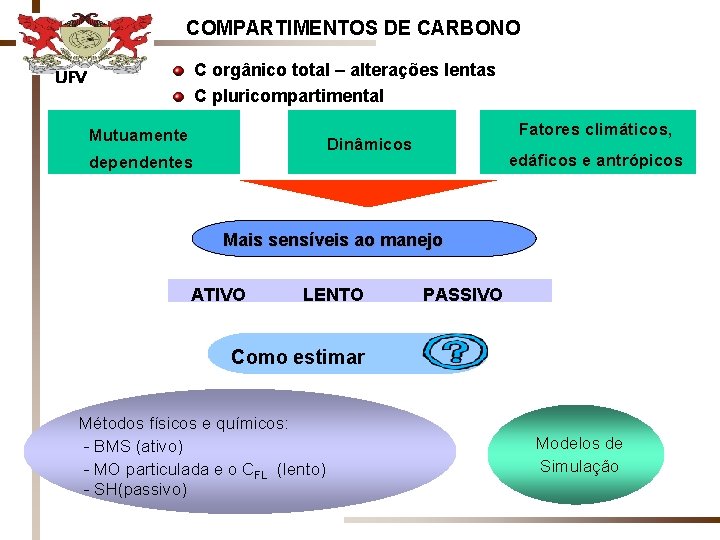 COMPARTIMENTOS DE CARBONO C orgânico total – alterações lentas C pluricompartimental UFV Mutuamente Fatores