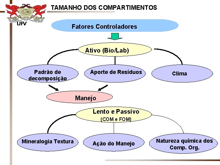 TAMANHO DOS COMPARTIMENTOS UFV Fatores Controladores Ativo (Bio/Lab) Padrão de decomposição Aporte de Resíduos