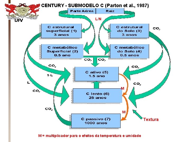 CENTURY - SUBMODELO C (Parton et al. , 1987) UFV L/N M M Textura