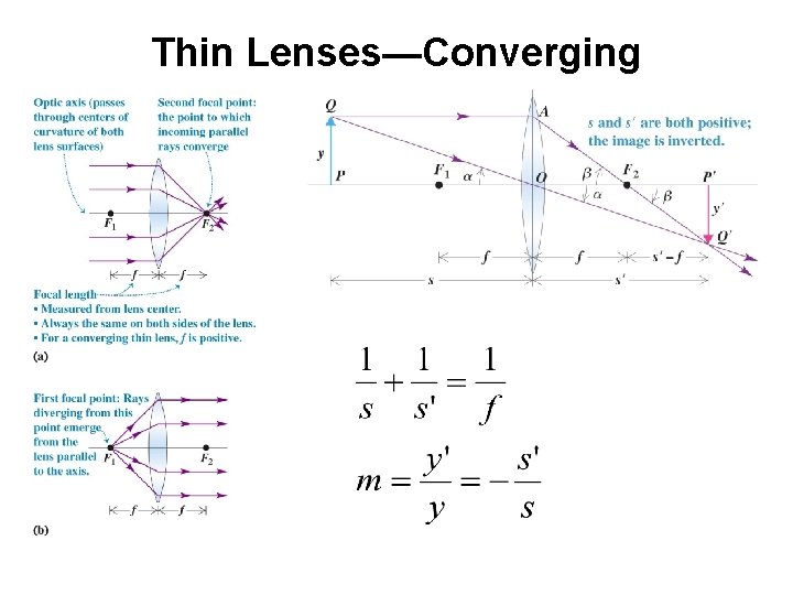 Thin Lenses—Converging Thin Lenses—Converging