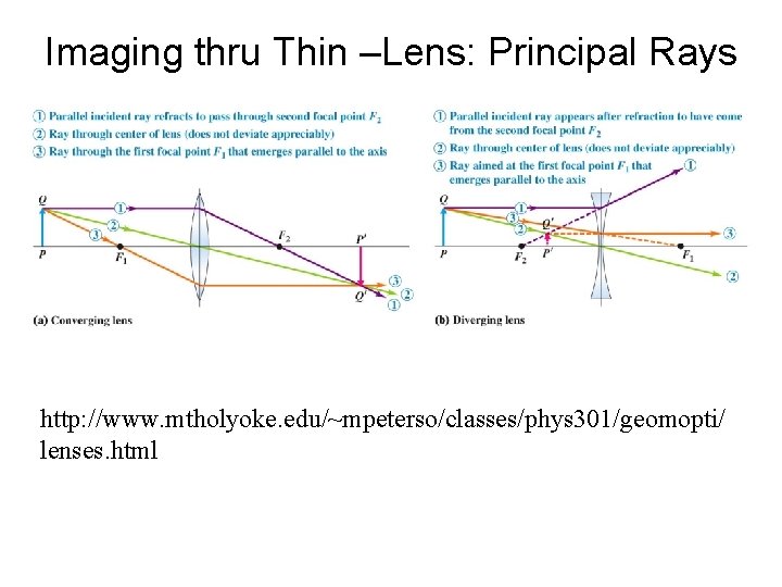 Imaging thru Thin –Lens: Principal Rays http: //www. mtholyoke. edu/~mpeterso/classes/phys 301/geomopti/ lenses. html Imaging thru Thin –Lens: Principal Rays http: //www. mtholyoke. edu/~mpeterso/classes/phys 301/geomopti/ lenses. html