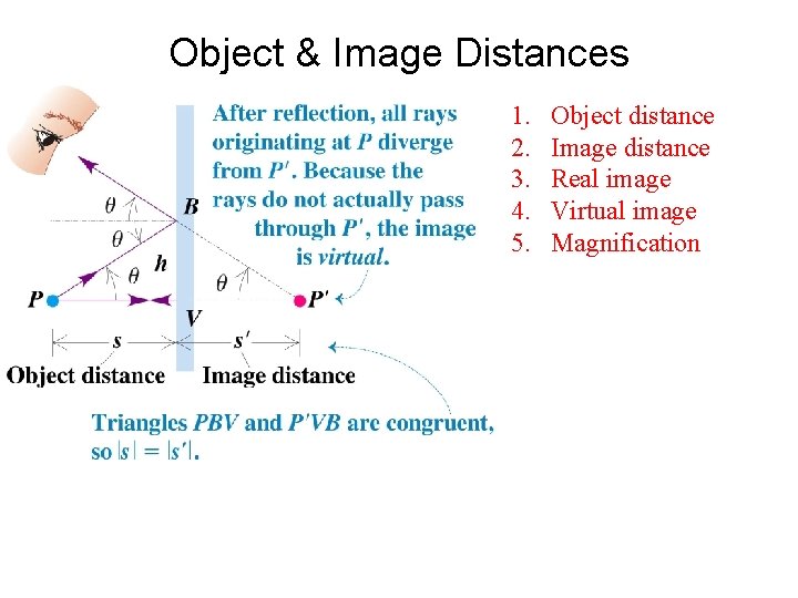 Object & Image Distances 1. 2. 3. 4. 5. Object distance Image distance Real Object & Image Distances 1. 2. 3. 4. 5. Object distance Image distance Real