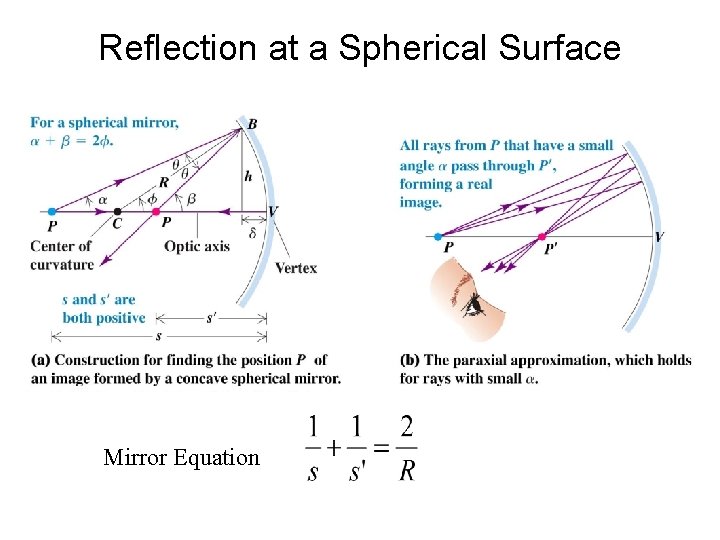 Reflection at a Spherical Surface Mirror Equation Reflection at a Spherical Surface Mirror Equation