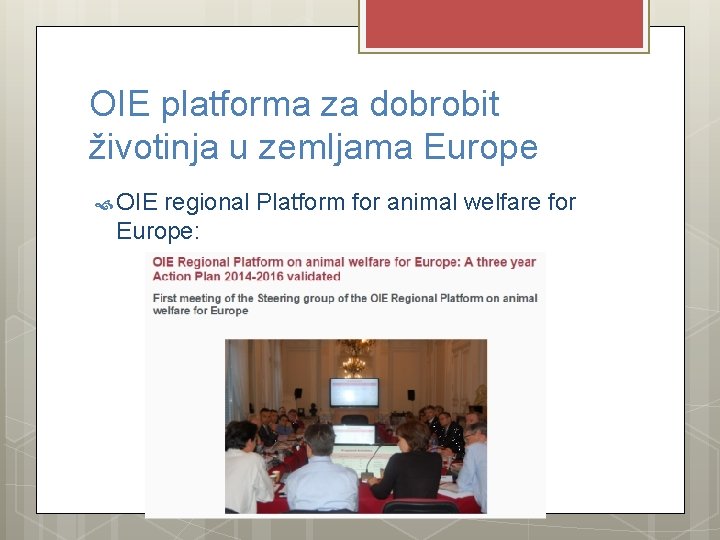 OIE platforma za dobrobit životinja u zemljama Europe OIE regional Platform for animal welfare