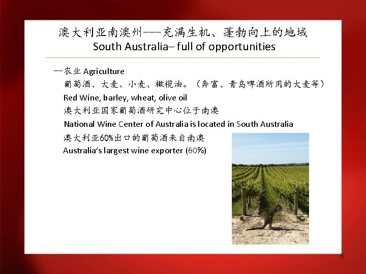 澳大利亚南澳州---充满生机、蓬勃向上的地域 South Australia– full of opportunities --农业 Agriculture 葡萄酒、大麦、小麦、橄榄油。（奔富、青岛啤酒所用的大麦等） Red Wine, barley, wheat, olive
