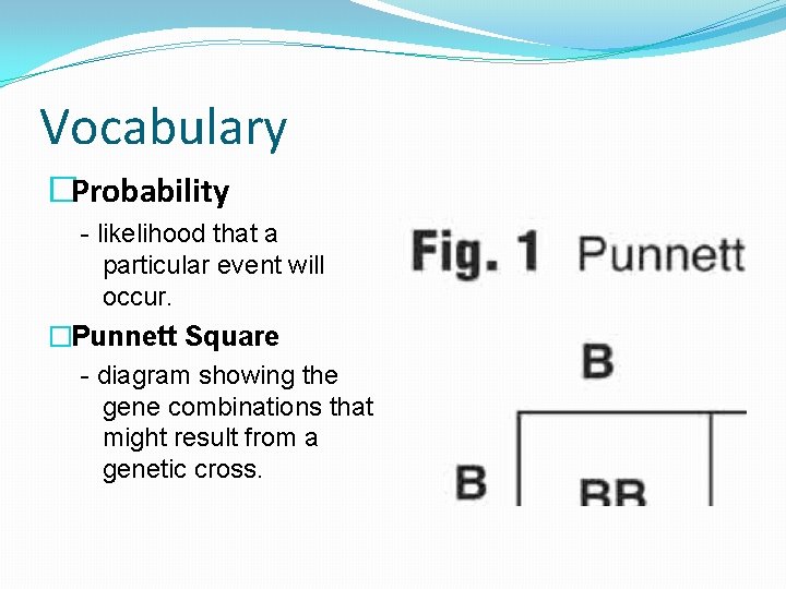 Vocabulary �Probability - likelihood that a particular event will occur. �Punnett Square - diagram