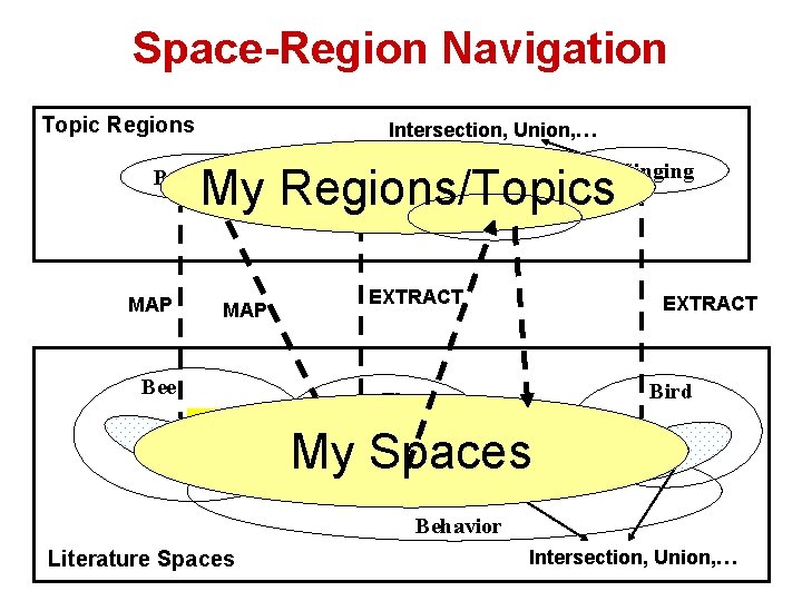Space-Region Navigation Topic Regions … My Regions/Topics Intersection, Union, … Fly Rover Bee Forager