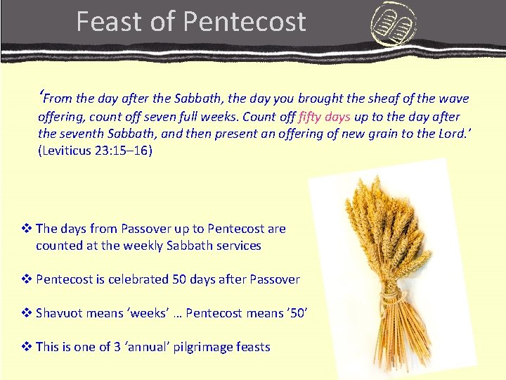 Feast of Pentecost ‘From the day after the Sabbath, the day you brought the