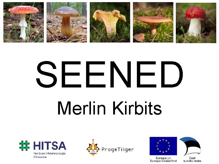 SEENED Merlin Kirbits 