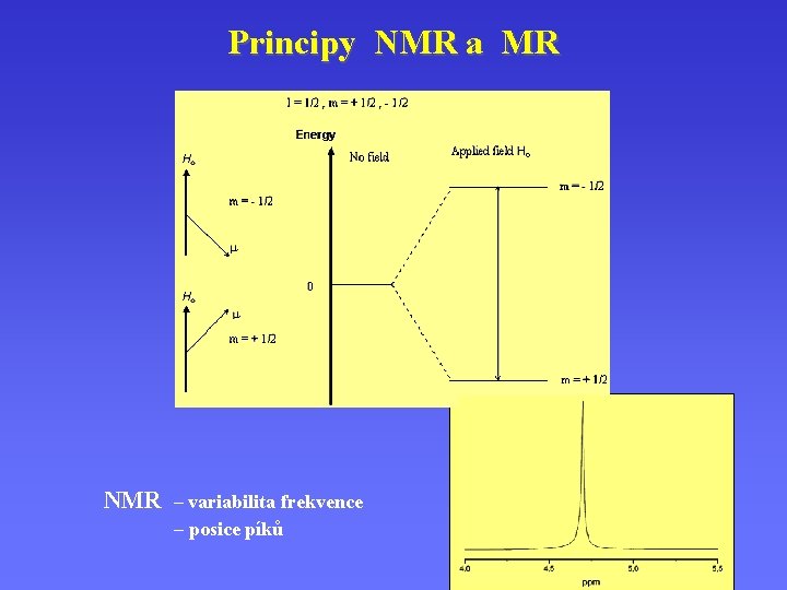 Principy NMR a MR NMR – variabilita frekvence – posice píků 