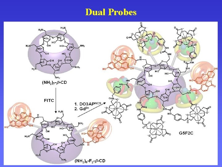 Dual Probes 