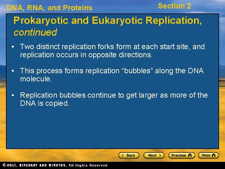 DNA, RNA, and Proteins Section 2 Prokaryotic and Eukaryotic Replication, continued • Two distinct
