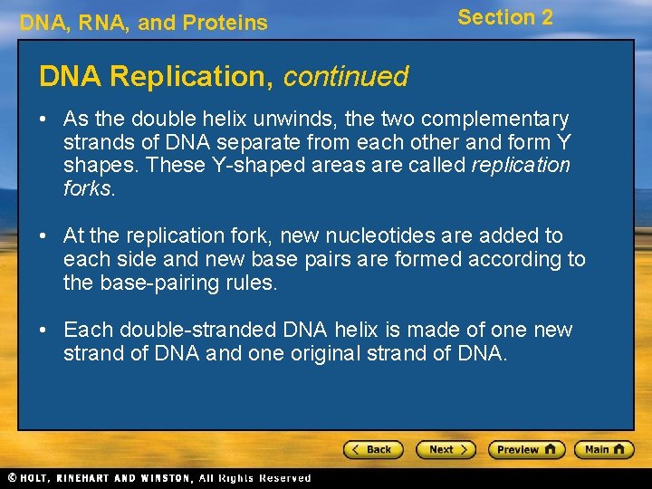 DNA, RNA, and Proteins Section 2 DNA Replication, continued • As the double helix