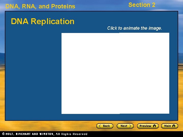DNA, RNA, and Proteins DNA Replication Section 2 Click to animate the image. 