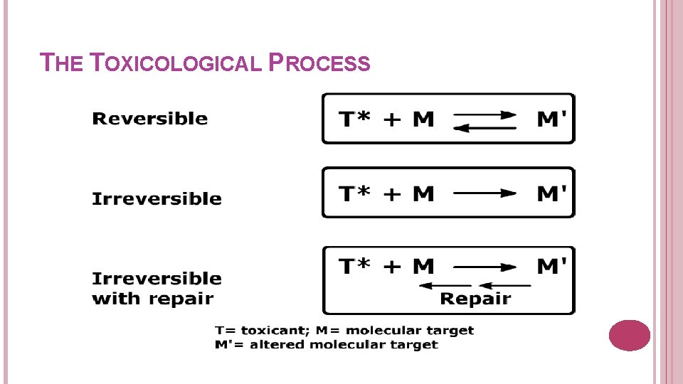 THE TOXICOLOGICAL PROCESS 