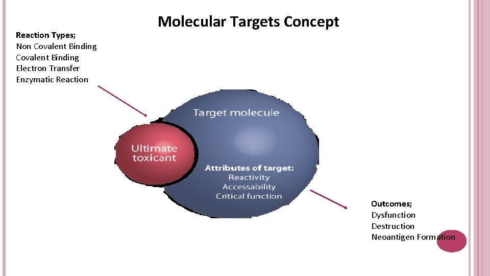 Reaction Types; Non Covalent Binding Electron Transfer Enzymatic Reaction Molecular Targets Concept Outcomes; Dysfunction