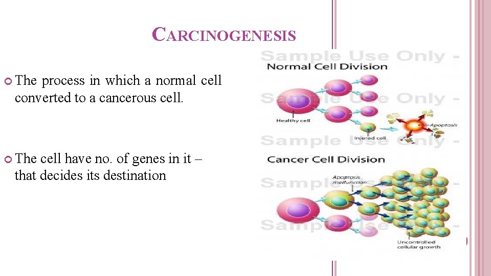 CARCINOGENESIS The process in which a normal cell converted to a cancerous cell. The