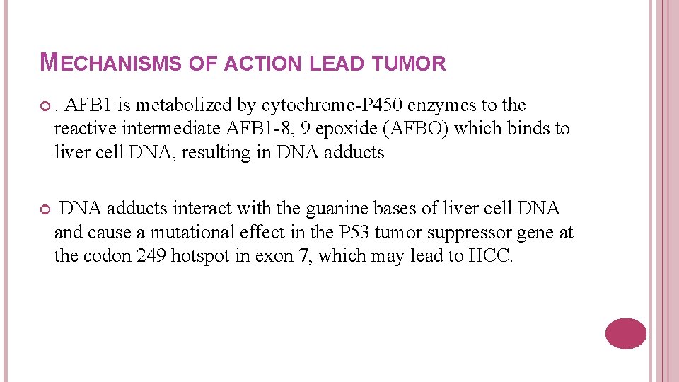 MECHANISMS OF ACTION LEAD TUMOR . AFB 1 is metabolized by cytochrome-P 450 enzymes