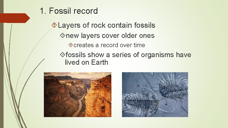 1. Fossil record Layers of rock contain fossils new layers cover older ones creates