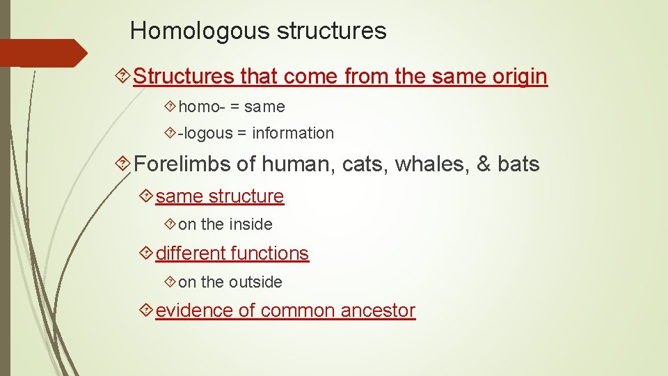 Homologous structures Structures that come from the same origin homo- = same -logous =