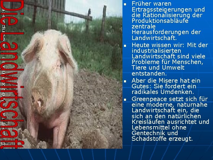 n n Früher waren Ertragssteigerungen und die Rationalisierung der Produktionsabläufe zentrale Herausforderungen der Landwirtschaft.