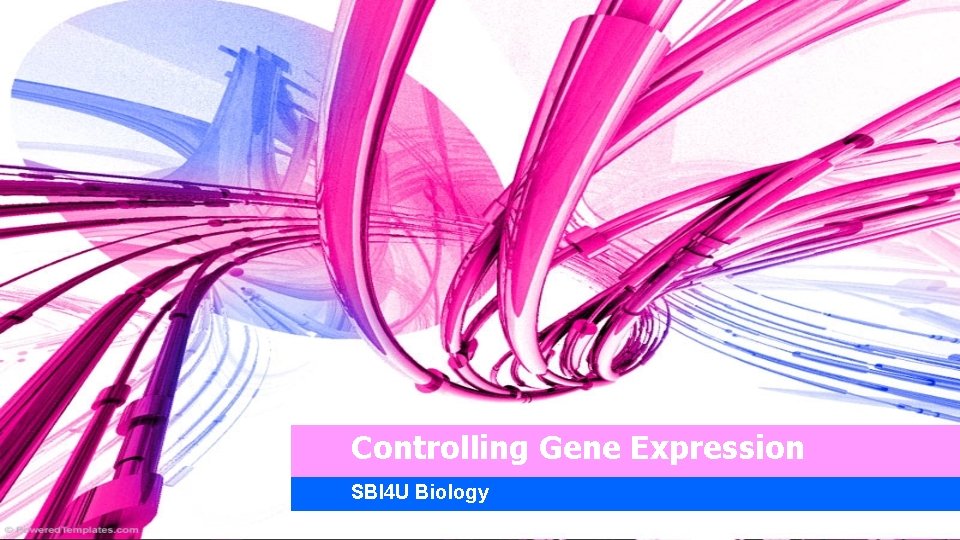 Controlling Gene Expression SBI 4 U Biology 