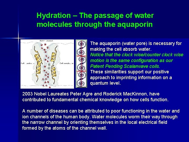 Hydration – The passage of water molecules through the aquaporin The aquaporin (water pore) Hydration – The passage of water molecules through the aquaporin The aquaporin (water pore)