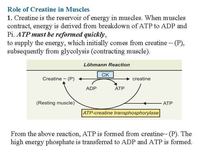 Role of Creatine in Muscles 1. Creatine is the reservoir of energy in muscles.