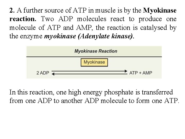 2. A further source of ATP in muscle is by the Myokinase reaction. Two