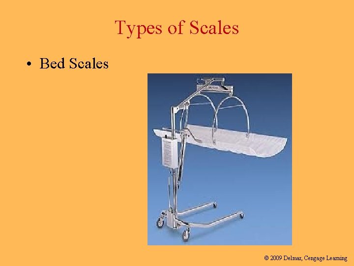 Types of Scales • Bed Scales © 2009 Delmar, Cengage Learning 