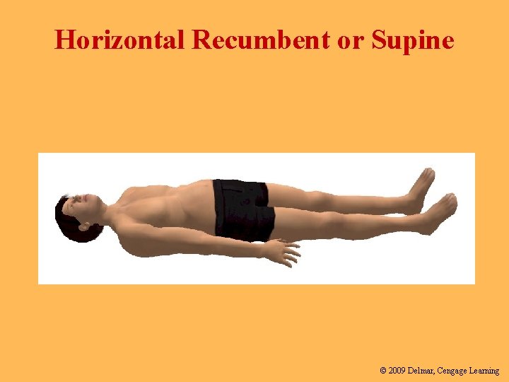 Horizontal Recumbent or Supine © 2009 Delmar, Cengage Learning 