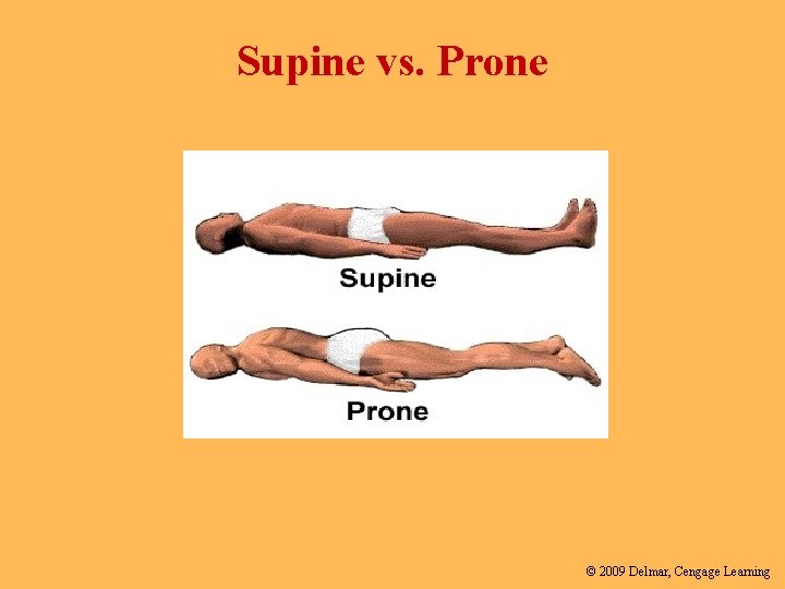 Supine vs. Prone © 2009 Delmar, Cengage Learning 