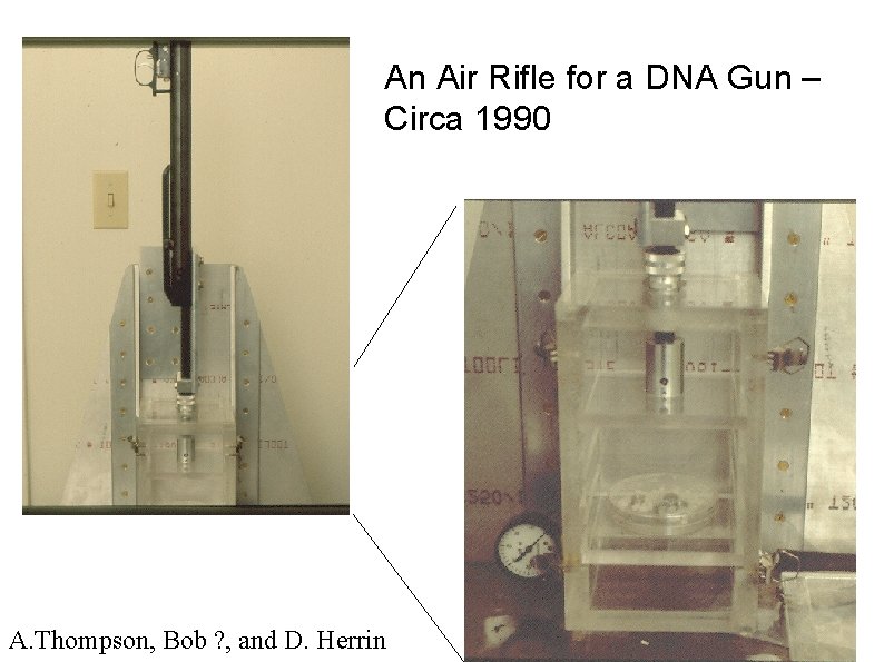 An Air Rifle for a DNA Gun – Circa 1990 A. Thompson, Bob ?
