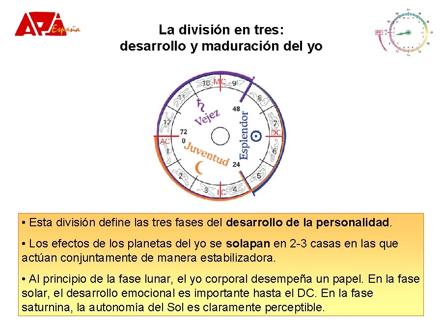 La división en tres: desarrollo y maduración del yo • Esta división define las La división en tres: desarrollo y maduración del yo • Esta división define las