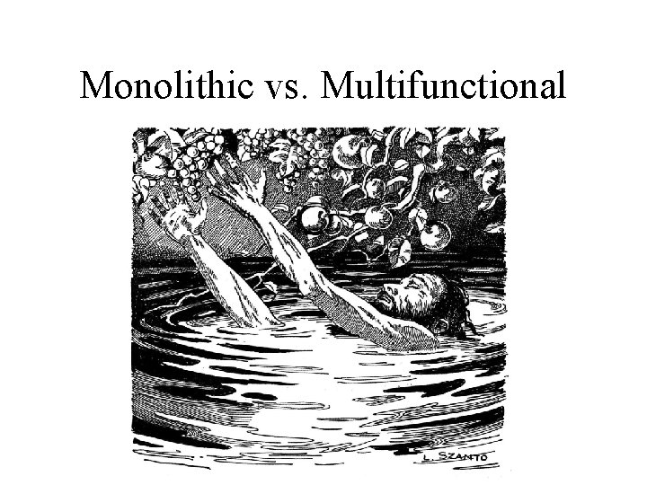 Monolithic vs. Multifunctional 