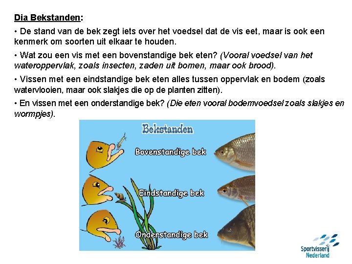 Dia Bekstanden: • De stand van de bek zegt iets over het voedsel dat